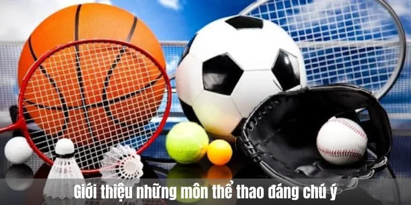 những môn thể thao đáng chú ý