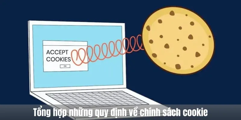 những quy định về chính sách cookie
