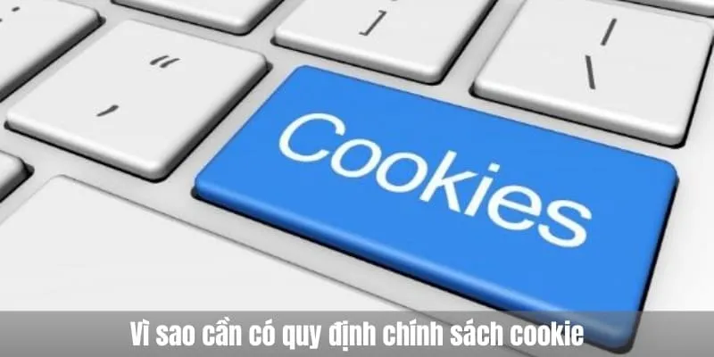 Vì sao cần có quy định chính sách cookie
